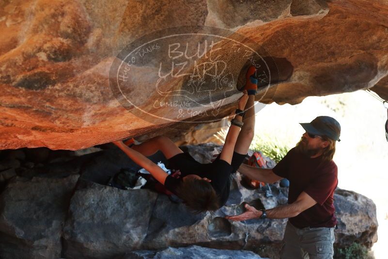 Bouldering in Hueco Tanks on 03/17/2019 with Blue Lizard Climbing and Yoga

Filename: SRM_20190317_1618150.jpg
Aperture: f/4.0
Shutter Speed: 1/400
Body: Canon EOS-1D Mark II
Lens: Canon EF 50mm f/1.8 II