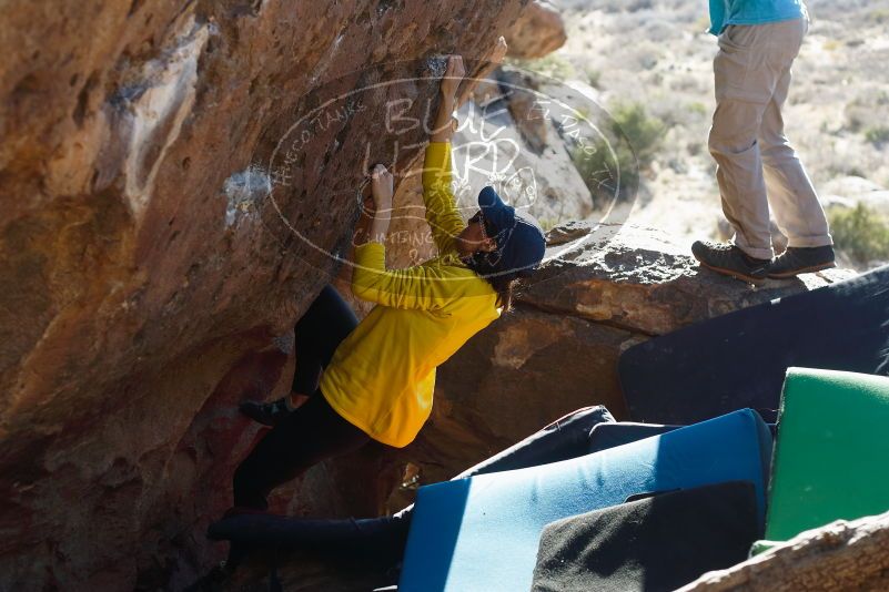 Bouldering in Hueco Tanks on 03/17/2019 with Blue Lizard Climbing and Yoga

Filename: SRM_20190317_1700300.jpg
Aperture: f/4.0
Shutter Speed: 1/320
Body: Canon EOS-1D Mark II
Lens: Canon EF 50mm f/1.8 II