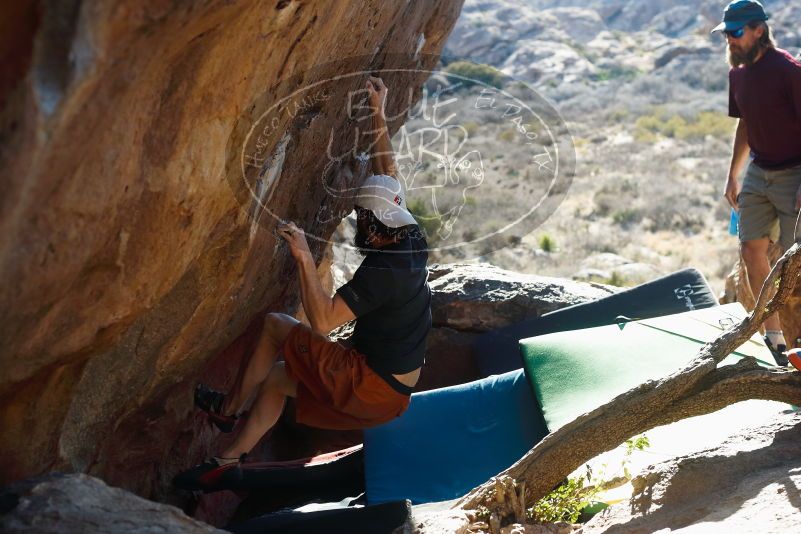 Bouldering in Hueco Tanks on 03/17/2019 with Blue Lizard Climbing and Yoga

Filename: SRM_20190317_1712310.jpg
Aperture: f/4.0
Shutter Speed: 1/250
Body: Canon EOS-1D Mark II
Lens: Canon EF 50mm f/1.8 II