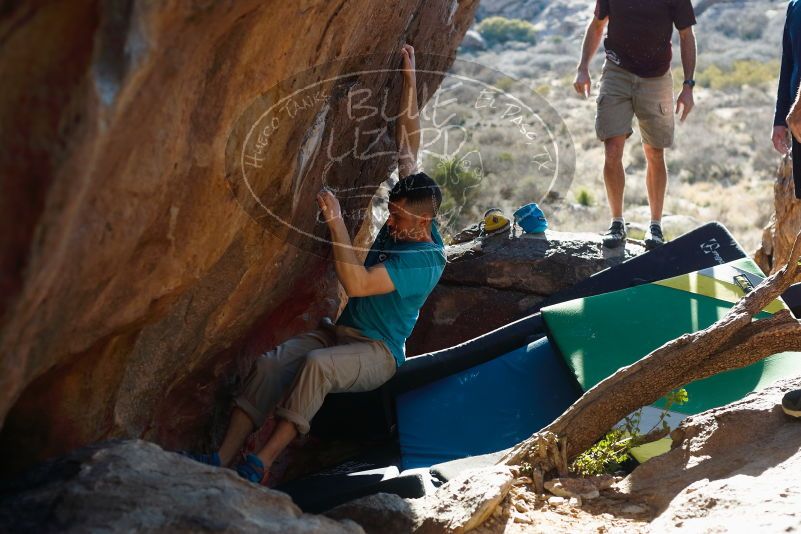Bouldering in Hueco Tanks on 03/17/2019 with Blue Lizard Climbing and Yoga

Filename: SRM_20190317_1719370.jpg
Aperture: f/4.0
Shutter Speed: 1/250
Body: Canon EOS-1D Mark II
Lens: Canon EF 50mm f/1.8 II