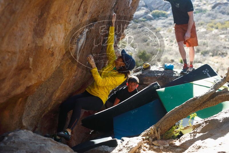 Bouldering in Hueco Tanks on 03/17/2019 with Blue Lizard Climbing and Yoga

Filename: SRM_20190317_1723240.jpg
Aperture: f/4.0
Shutter Speed: 1/250
Body: Canon EOS-1D Mark II
Lens: Canon EF 50mm f/1.8 II