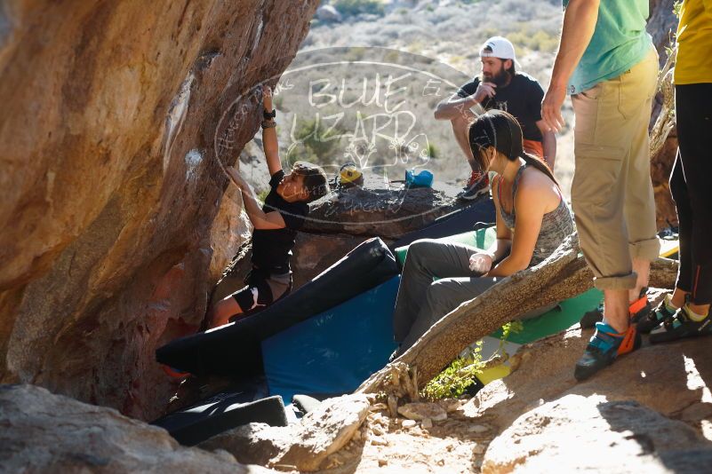 Bouldering in Hueco Tanks on 03/17/2019 with Blue Lizard Climbing and Yoga

Filename: SRM_20190317_1725200.jpg
Aperture: f/4.0
Shutter Speed: 1/250
Body: Canon EOS-1D Mark II
Lens: Canon EF 50mm f/1.8 II