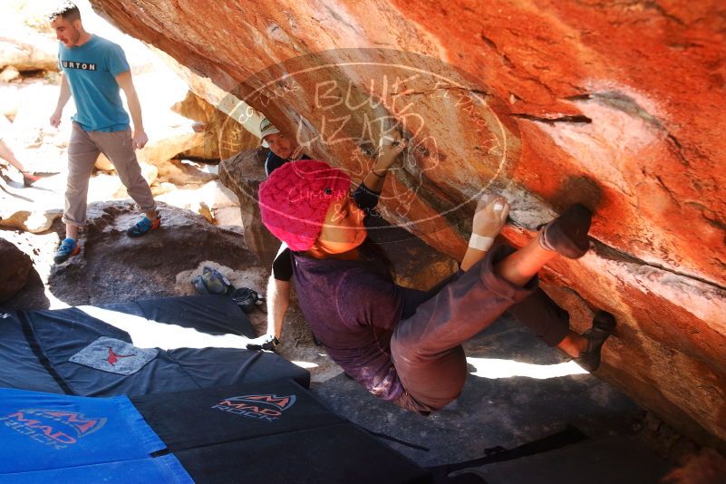 

Filename: SRM_20190317_1253550.jpg
Aperture: f/5.6
Shutter Speed: 1/160
Body: Canon EOS-1D Mark II
Lens: Canon EF 16-35mm f/2.8 L
