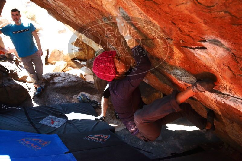 

Filename: SRM_20190317_1253560.jpg
Aperture: f/5.6
Shutter Speed: 1/250
Body: Canon EOS-1D Mark II
Lens: Canon EF 16-35mm f/2.8 L