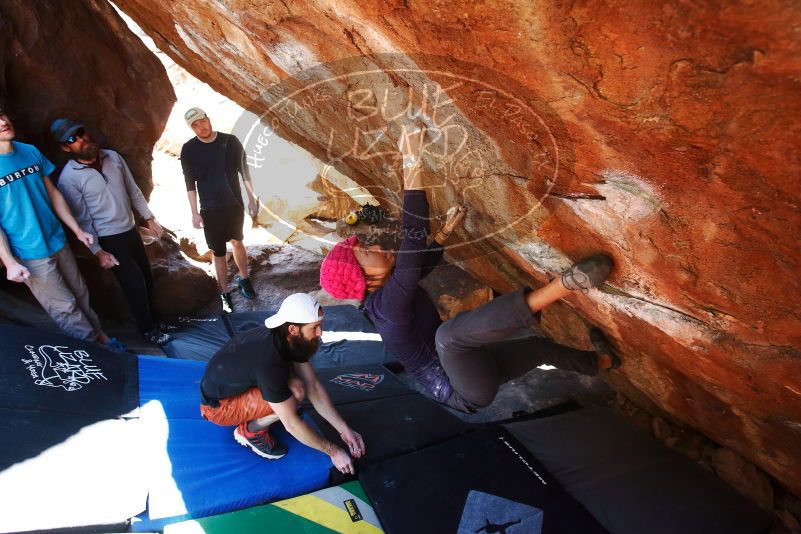 

Filename: SRM_20190317_1258190.jpg
Aperture: f/5.6
Shutter Speed: 1/160
Body: Canon EOS-1D Mark II
Lens: Canon EF 16-35mm f/2.8 L