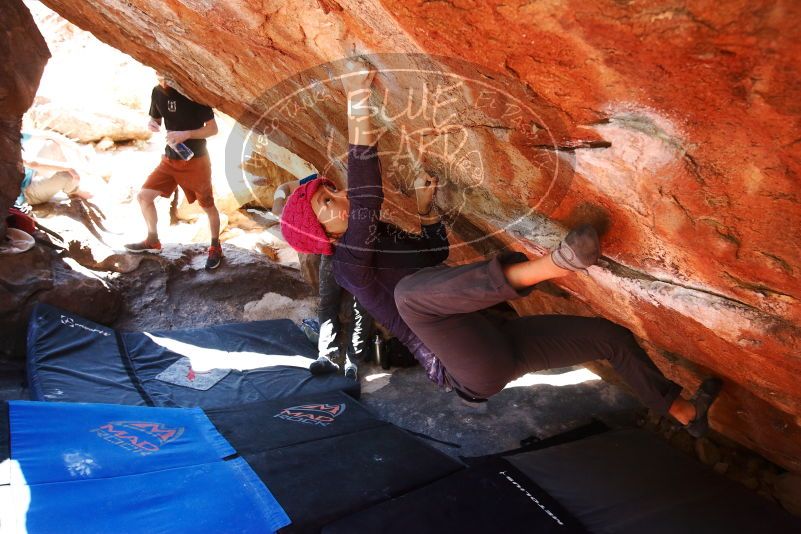 

Filename: SRM_20190317_1302580.jpg
Aperture: f/5.6
Shutter Speed: 1/160
Body: Canon EOS-1D Mark II
Lens: Canon EF 16-35mm f/2.8 L