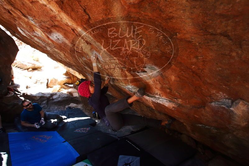 

Filename: SRM_20190317_1307230.jpg
Aperture: f/5.6
Shutter Speed: 1/250
Body: Canon EOS-1D Mark II
Lens: Canon EF 16-35mm f/2.8 L
