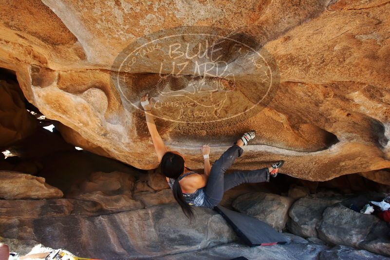

Filename: SRM_20190317_1553240.jpg
Aperture: f/5.6
Shutter Speed: 1/250
Body: Canon EOS-1D Mark II
Lens: Canon EF 16-35mm f/2.8 L