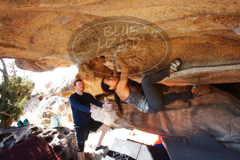 

Filename: SRM_20190317_1610090.jpg
Aperture: f/5.6
Shutter Speed: 1/250
Body: Canon EOS-1D Mark II
Lens: Canon EF 16-35mm f/2.8 L