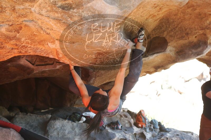 

Filename: SRM_20190317_1616560.jpg
Aperture: f/4.0
Shutter Speed: 1/250
Body: Canon EOS-1D Mark II
Lens: Canon EF 50mm f/1.8 II