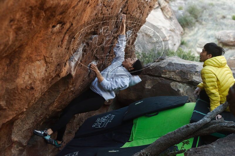Bouldering in Hueco Tanks on 03/20/2019 with Blue Lizard Climbing and Yoga

Filename: SRM_20190320_0924441.jpg
Aperture: f/3.5
Shutter Speed: 1/320
Body: Canon EOS-1D Mark II
Lens: Canon EF 50mm f/1.8 II