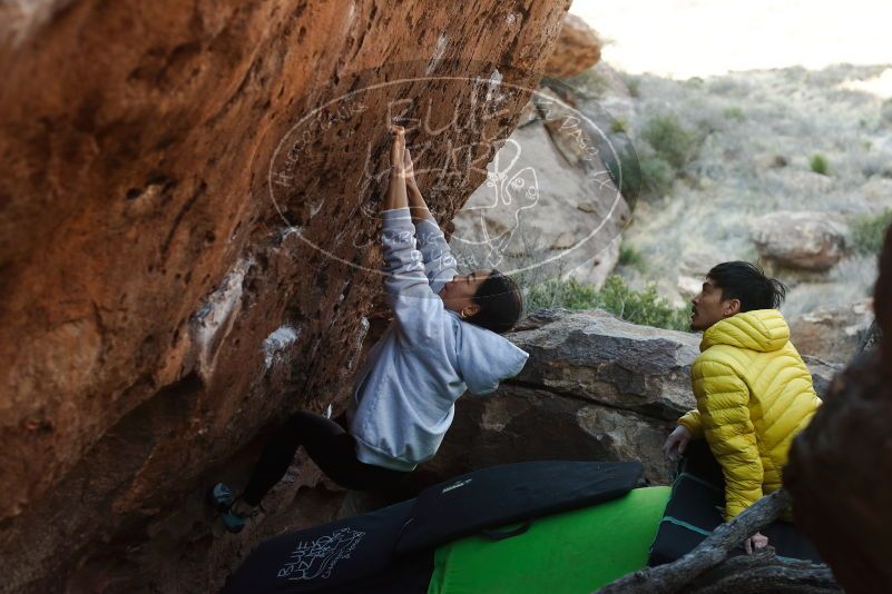 Bouldering in Hueco Tanks on 03/20/2019 with Blue Lizard Climbing and Yoga

Filename: SRM_20190320_0924510.jpg
Aperture: f/3.5
Shutter Speed: 1/400
Body: Canon EOS-1D Mark II
Lens: Canon EF 50mm f/1.8 II