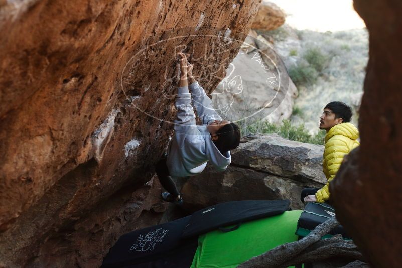 Bouldering in Hueco Tanks on 03/20/2019 with Blue Lizard Climbing and Yoga

Filename: SRM_20190320_0926040.jpg
Aperture: f/3.5
Shutter Speed: 1/400
Body: Canon EOS-1D Mark II
Lens: Canon EF 50mm f/1.8 II