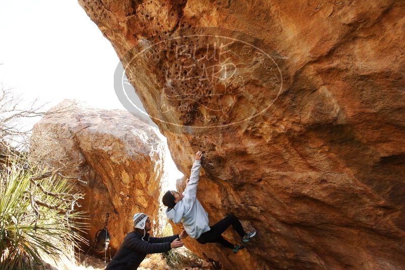Bouldering in Hueco Tanks on 03/20/2019 with Blue Lizard Climbing and Yoga

Filename: SRM_20190320_0954400.jpg
Aperture: f/5.6
Shutter Speed: 1/250
Body: Canon EOS-1D Mark II
Lens: Canon EF 16-35mm f/2.8 L