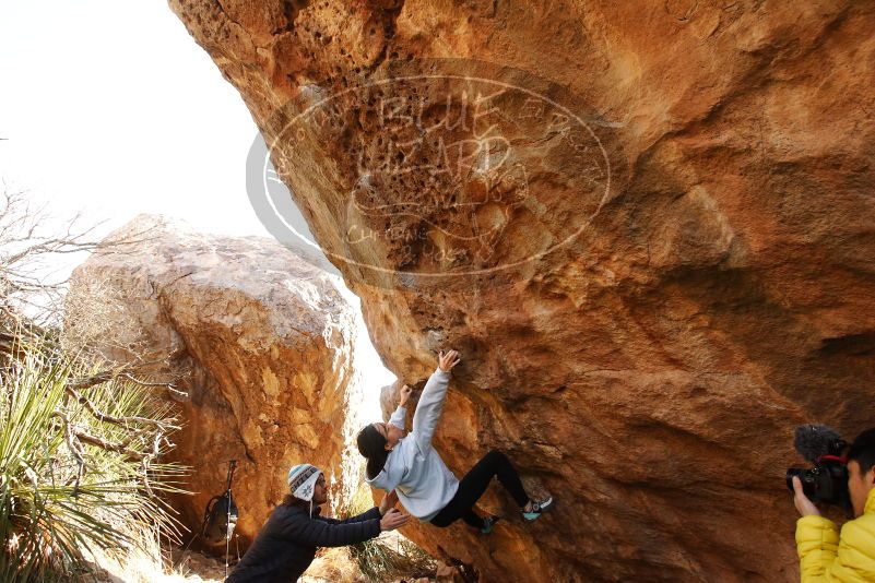 Bouldering in Hueco Tanks on 03/20/2019 with Blue Lizard Climbing and Yoga

Filename: SRM_20190320_0957190.jpg
Aperture: f/5.6
Shutter Speed: 1/250
Body: Canon EOS-1D Mark II
Lens: Canon EF 16-35mm f/2.8 L