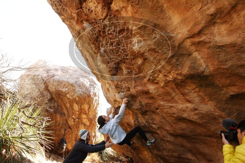 Bouldering in Hueco Tanks on 03/20/2019 with Blue Lizard Climbing and Yoga

Filename: SRM_20190320_0957191.jpg
Aperture: f/5.6
Shutter Speed: 1/250
Body: Canon EOS-1D Mark II
Lens: Canon EF 16-35mm f/2.8 L