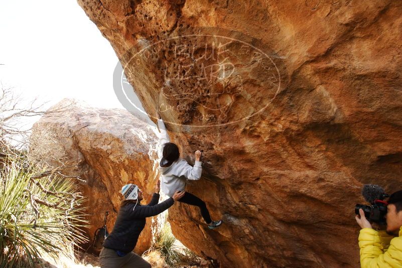 Bouldering in Hueco Tanks on 03/20/2019 with Blue Lizard Climbing and Yoga

Filename: SRM_20190320_0957300.jpg
Aperture: f/5.6
Shutter Speed: 1/250
Body: Canon EOS-1D Mark II
Lens: Canon EF 16-35mm f/2.8 L
