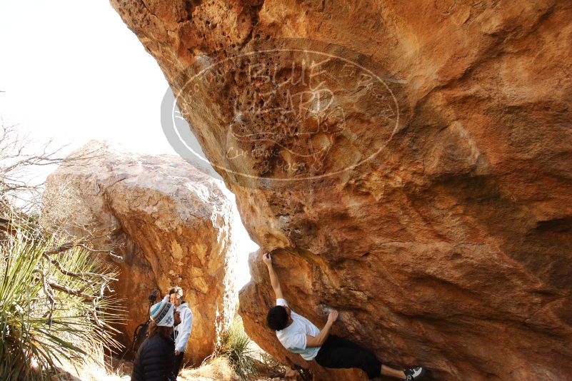 Bouldering in Hueco Tanks on 03/20/2019 with Blue Lizard Climbing and Yoga

Filename: SRM_20190320_1002260.jpg
Aperture: f/5.6
Shutter Speed: 1/250
Body: Canon EOS-1D Mark II
Lens: Canon EF 16-35mm f/2.8 L