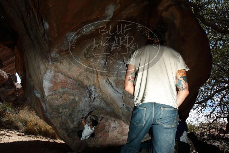 Bouldering in Hueco Tanks on 03/20/2019 with Blue Lizard Climbing and Yoga

Filename: SRM_20190320_1309400.jpg
Aperture: f/5.6
Shutter Speed: 1/250
Body: Canon EOS-1D Mark II
Lens: Canon EF 16-35mm f/2.8 L