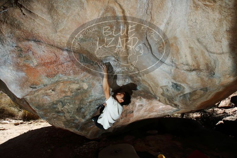 Bouldering in Hueco Tanks on 03/20/2019 with Blue Lizard Climbing and Yoga

Filename: SRM_20190320_1315080.jpg
Aperture: f/6.3
Shutter Speed: 1/250
Body: Canon EOS-1D Mark II
Lens: Canon EF 16-35mm f/2.8 L