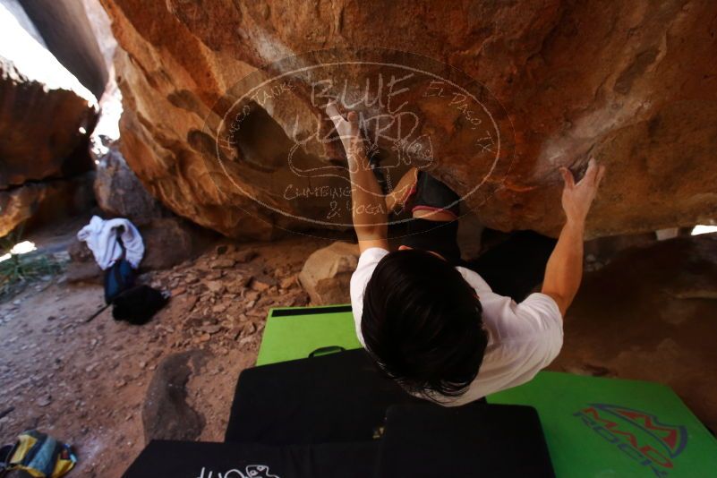 Bouldering in Hueco Tanks on 03/20/2019 with Blue Lizard Climbing and Yoga

Filename: SRM_20190320_1508280.jpg
Aperture: f/5.6
Shutter Speed: 1/250
Body: Canon EOS-1D Mark II
Lens: Canon EF 16-35mm f/2.8 L