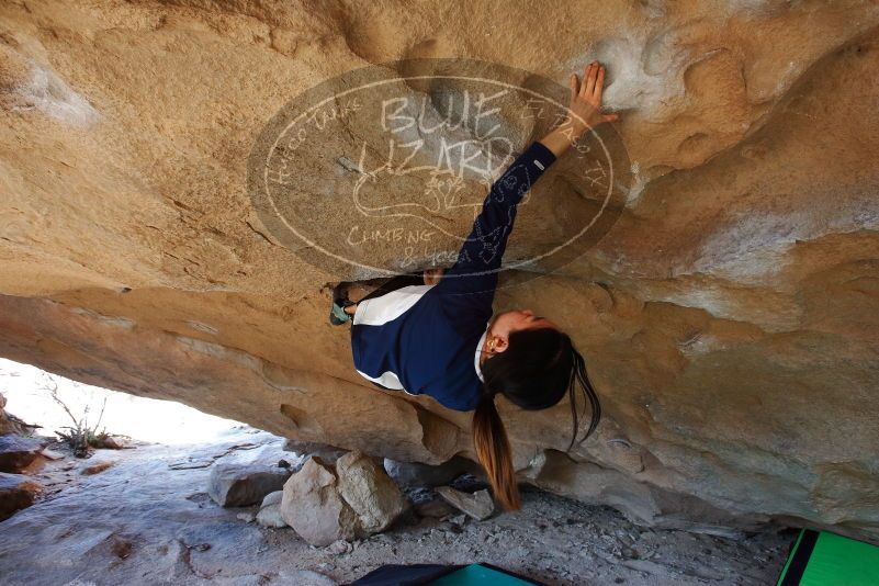 Bouldering in Hueco Tanks on 03/20/2019 with Blue Lizard Climbing and Yoga

Filename: SRM_20190320_1546560.jpg
Aperture: f/5.6
Shutter Speed: 1/200
Body: Canon EOS-1D Mark II
Lens: Canon EF 16-35mm f/2.8 L