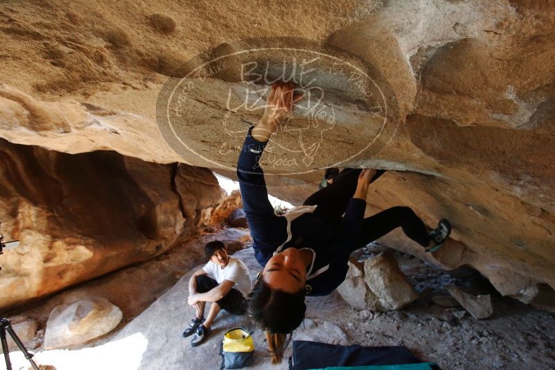 Bouldering in Hueco Tanks on 03/20/2019 with Blue Lizard Climbing and Yoga

Filename: SRM_20190320_1557211.jpg
Aperture: f/5.6
Shutter Speed: 1/200
Body: Canon EOS-1D Mark II
Lens: Canon EF 16-35mm f/2.8 L