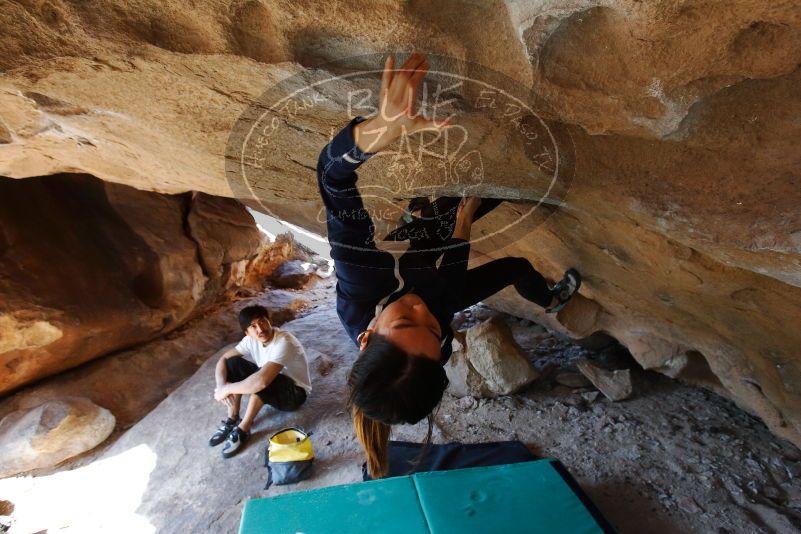 Bouldering in Hueco Tanks on 03/20/2019 with Blue Lizard Climbing and Yoga

Filename: SRM_20190320_1557230.jpg
Aperture: f/5.6
Shutter Speed: 1/200
Body: Canon EOS-1D Mark II
Lens: Canon EF 16-35mm f/2.8 L
