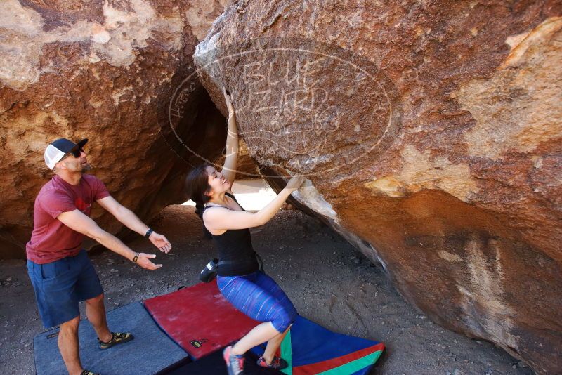 Bouldering in Hueco Tanks on 03/29/2019 with Blue Lizard Climbing and Yoga

Filename: SRM_20190329_0937320.jpg
Aperture: f/5.6
Shutter Speed: 1/250
Body: Canon EOS-1D Mark II
Lens: Canon EF 16-35mm f/2.8 L