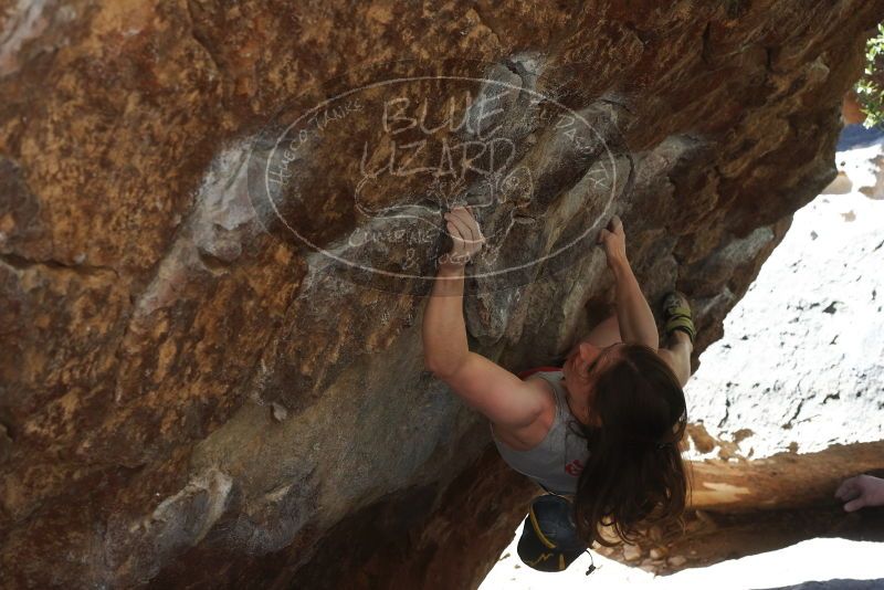 Bouldering in Hueco Tanks on 03/29/2019 with Blue Lizard Climbing and Yoga

Filename: SRM_20190329_1026030.jpg
Aperture: f/5.6
Shutter Speed: 1/250
Body: Canon EOS-1D Mark II
Lens: Canon EF 50mm f/1.8 II