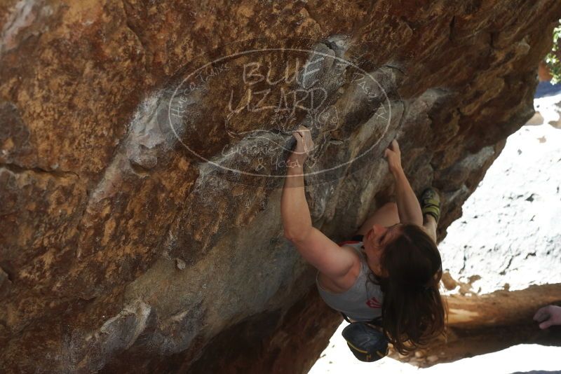 Bouldering in Hueco Tanks on 03/29/2019 with Blue Lizard Climbing and Yoga

Filename: SRM_20190329_1026031.jpg
Aperture: f/5.6
Shutter Speed: 1/250
Body: Canon EOS-1D Mark II
Lens: Canon EF 50mm f/1.8 II