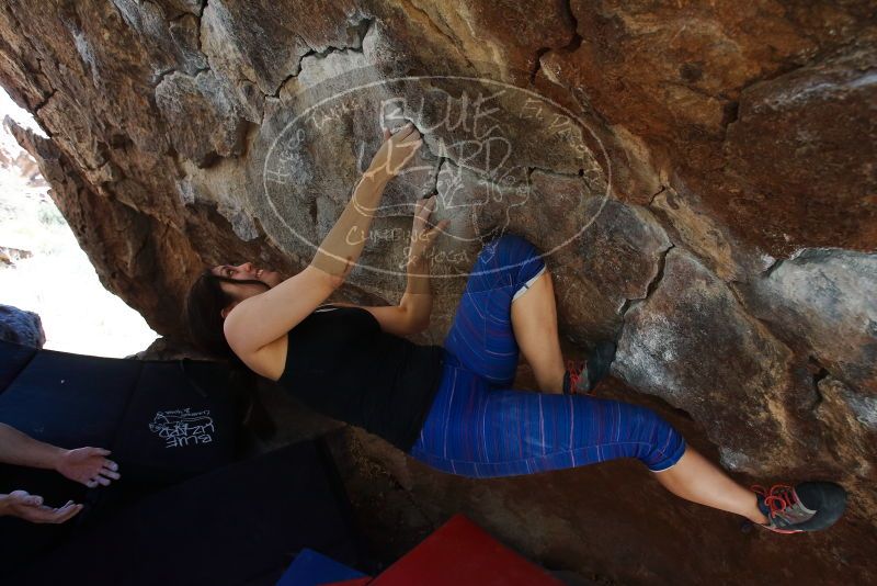 Bouldering in Hueco Tanks on 03/29/2019 with Blue Lizard Climbing and Yoga

Filename: SRM_20190329_1107310.jpg
Aperture: f/5.6
Shutter Speed: 1/250
Body: Canon EOS-1D Mark II
Lens: Canon EF 16-35mm f/2.8 L