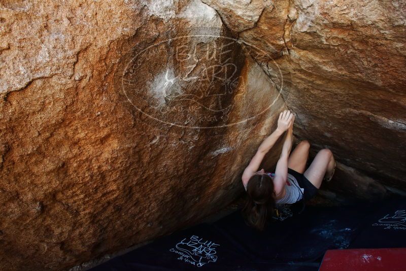 Bouldering in Hueco Tanks on 03/29/2019 with Blue Lizard Climbing and Yoga

Filename: SRM_20190329_1116440.jpg
Aperture: f/5.6
Shutter Speed: 1/200
Body: Canon EOS-1D Mark II
Lens: Canon EF 16-35mm f/2.8 L