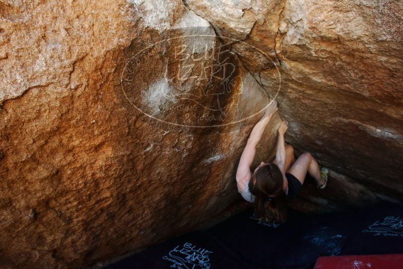 Bouldering in Hueco Tanks on 03/29/2019 with Blue Lizard Climbing and Yoga

Filename: SRM_20190329_1116460.jpg
Aperture: f/5.6
Shutter Speed: 1/200
Body: Canon EOS-1D Mark II
Lens: Canon EF 16-35mm f/2.8 L