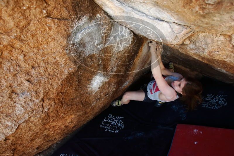 Bouldering in Hueco Tanks on 03/29/2019 with Blue Lizard Climbing and Yoga

Filename: SRM_20190329_1116511.jpg
Aperture: f/5.6
Shutter Speed: 1/200
Body: Canon EOS-1D Mark II
Lens: Canon EF 16-35mm f/2.8 L