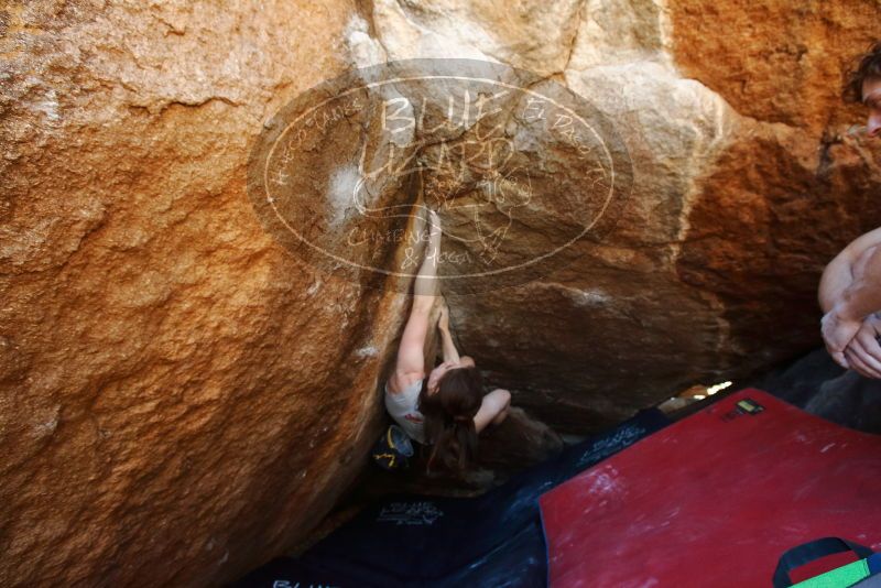 Bouldering in Hueco Tanks on 03/29/2019 with Blue Lizard Climbing and Yoga

Filename: SRM_20190329_1123530.jpg
Aperture: f/5.6
Shutter Speed: 1/200
Body: Canon EOS-1D Mark II
Lens: Canon EF 16-35mm f/2.8 L