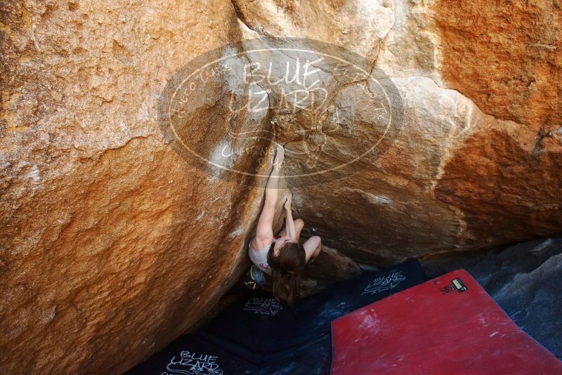 Bouldering in Hueco Tanks on 03/29/2019 with Blue Lizard Climbing and Yoga

Filename: SRM_20190329_1126280.jpg
Aperture: f/5.6
Shutter Speed: 1/200
Body: Canon EOS-1D Mark II
Lens: Canon EF 16-35mm f/2.8 L