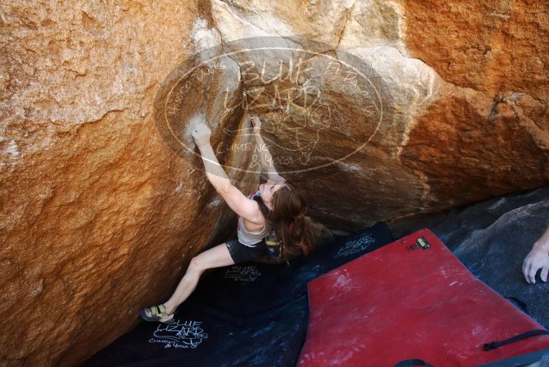 Bouldering in Hueco Tanks on 03/29/2019 with Blue Lizard Climbing and Yoga

Filename: SRM_20190329_1126340.jpg
Aperture: f/5.6
Shutter Speed: 1/200
Body: Canon EOS-1D Mark II
Lens: Canon EF 16-35mm f/2.8 L