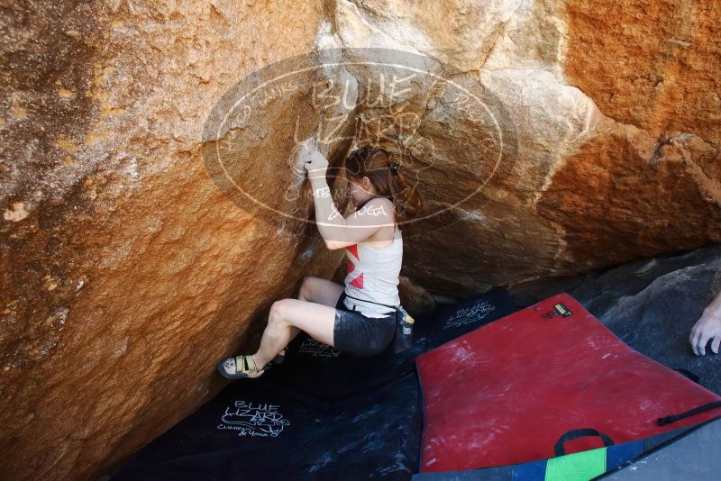 Bouldering in Hueco Tanks on 03/29/2019 with Blue Lizard Climbing and Yoga

Filename: SRM_20190329_1126370.jpg
Aperture: f/5.6
Shutter Speed: 1/200
Body: Canon EOS-1D Mark II
Lens: Canon EF 16-35mm f/2.8 L