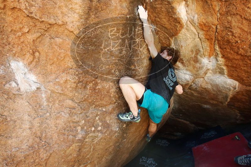 Bouldering in Hueco Tanks on 03/29/2019 with Blue Lizard Climbing and Yoga

Filename: SRM_20190329_1129390.jpg
Aperture: f/5.6
Shutter Speed: 1/250
Body: Canon EOS-1D Mark II
Lens: Canon EF 16-35mm f/2.8 L