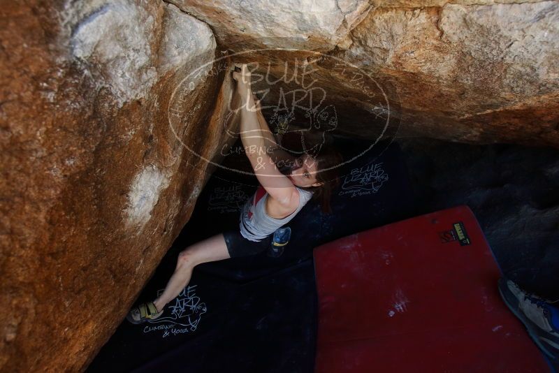 Bouldering in Hueco Tanks on 03/29/2019 with Blue Lizard Climbing and Yoga

Filename: SRM_20190329_1132500.jpg
Aperture: f/5.6
Shutter Speed: 1/250
Body: Canon EOS-1D Mark II
Lens: Canon EF 16-35mm f/2.8 L
