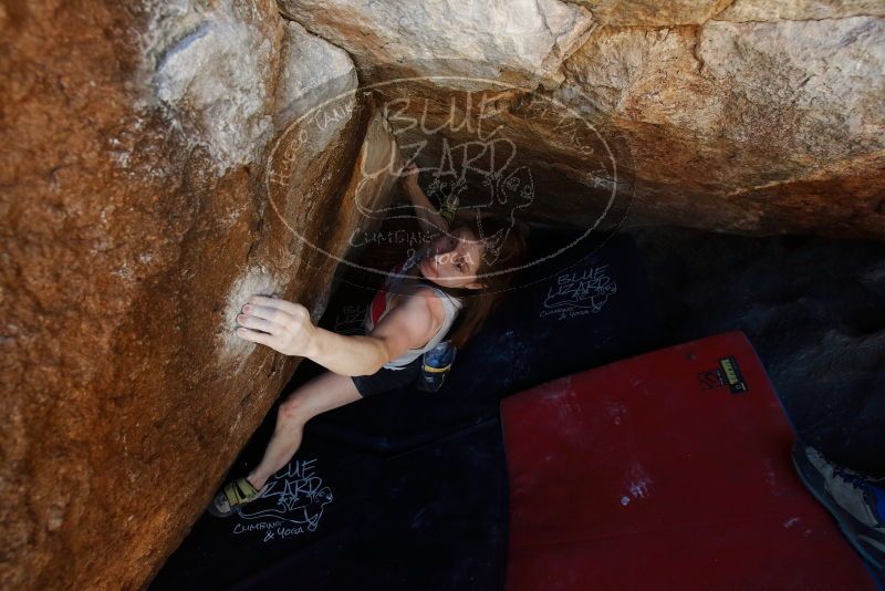 Bouldering in Hueco Tanks on 03/29/2019 with Blue Lizard Climbing and Yoga

Filename: SRM_20190329_1132502.jpg
Aperture: f/5.6
Shutter Speed: 1/250
Body: Canon EOS-1D Mark II
Lens: Canon EF 16-35mm f/2.8 L