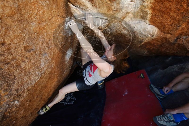 Bouldering in Hueco Tanks on 03/29/2019 with Blue Lizard Climbing and Yoga

Filename: SRM_20190329_1132592.jpg
Aperture: f/5.6
Shutter Speed: 1/250
Body: Canon EOS-1D Mark II
Lens: Canon EF 16-35mm f/2.8 L