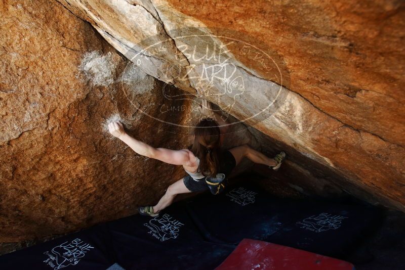 Bouldering in Hueco Tanks on 03/29/2019 with Blue Lizard Climbing and Yoga

Filename: SRM_20190329_1140420.jpg
Aperture: f/5.6
Shutter Speed: 1/200
Body: Canon EOS-1D Mark II
Lens: Canon EF 16-35mm f/2.8 L