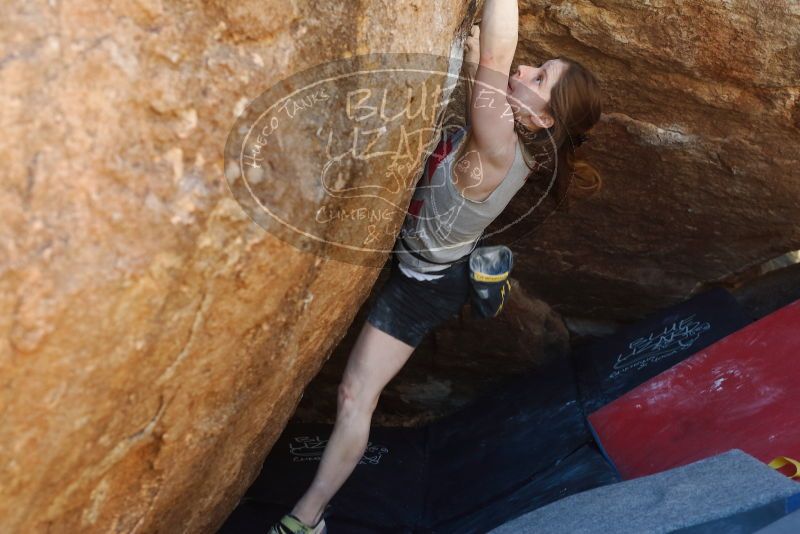 

Filename: SRM_20190329_1144090.jpg
Aperture: f/4.0
Shutter Speed: 1/200
Body: Canon EOS-1D Mark II
Lens: Canon EF 50mm f/1.8 II