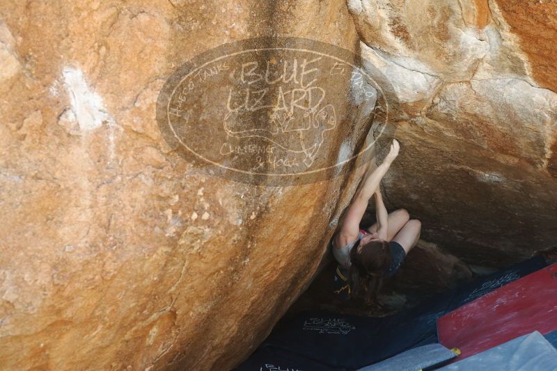Bouldering in Hueco Tanks on 03/29/2019 with Blue Lizard Climbing and Yoga

Filename: SRM_20190329_1157330.jpg
Aperture: f/4.0
Shutter Speed: 1/200
Body: Canon EOS-1D Mark II
Lens: Canon EF 50mm f/1.8 II