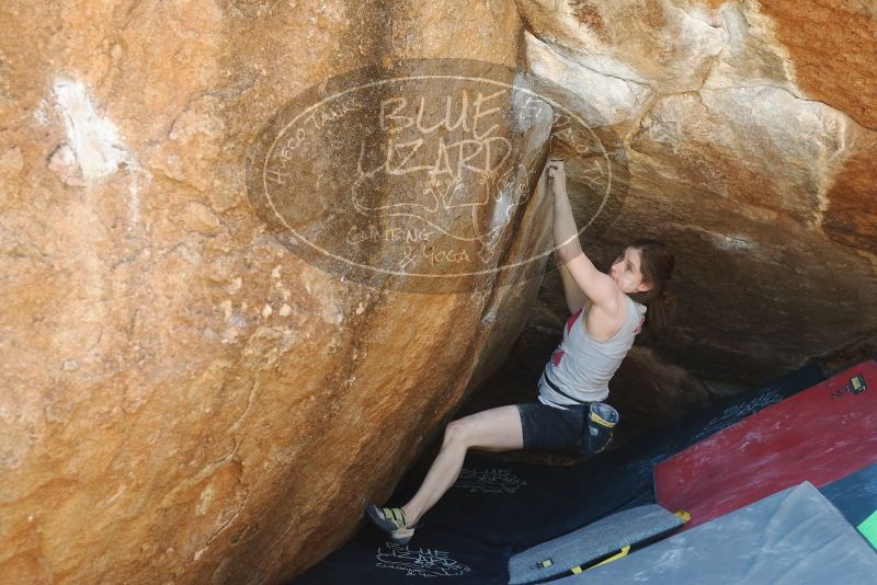 Bouldering in Hueco Tanks on 03/29/2019 with Blue Lizard Climbing and Yoga

Filename: SRM_20190329_1157370.jpg
Aperture: f/4.0
Shutter Speed: 1/200
Body: Canon EOS-1D Mark II
Lens: Canon EF 50mm f/1.8 II