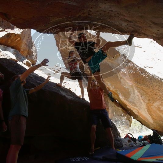 

Filename: SRM_20190329_1216361.jpg
Aperture: f/5.6
Shutter Speed: 1/400
Body: Canon EOS-1D Mark II
Lens: Canon EF 16-35mm f/2.8 L