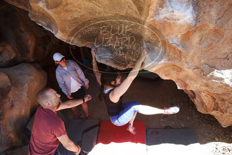 Bouldering in Hueco Tanks on 03/29/2019 with Blue Lizard Climbing and Yoga

Filename: SRM_20190329_1220370.jpg
Aperture: f/5.6
Shutter Speed: 1/320
Body: Canon EOS-1D Mark II
Lens: Canon EF 16-35mm f/2.8 L