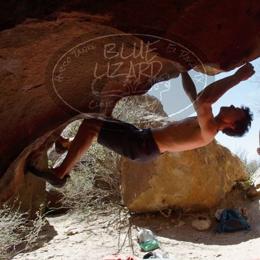 

Filename: SRM_20190329_1225000.jpg
Aperture: f/5.6
Shutter Speed: 1/400
Body: Canon EOS-1D Mark II
Lens: Canon EF 16-35mm f/2.8 L